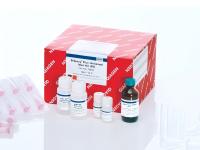 DNA RNA Extraction 4