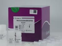 DNA RNA Extraction 5