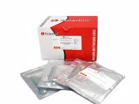 Gel Electrophoresis 5