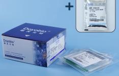 Gel Electrophoresis 6