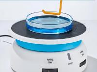 Microbial Culture Screening 4