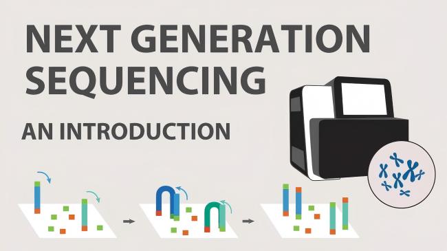 Next Gen Sequencing 1